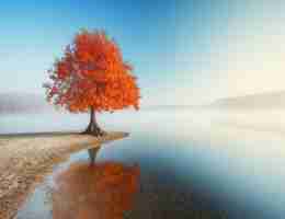 智‍能﻿关‍键​词‌价​格﻿